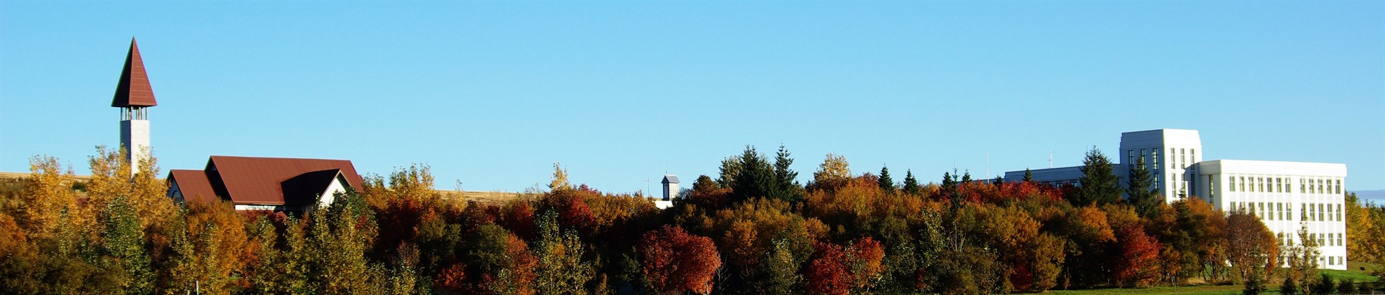 Póstkort og frímerki