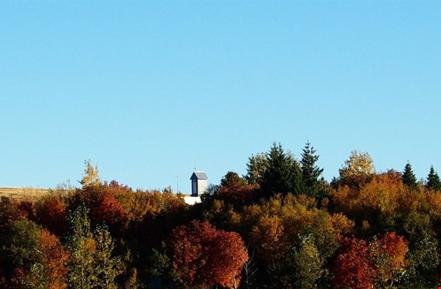 Postcards and stamps