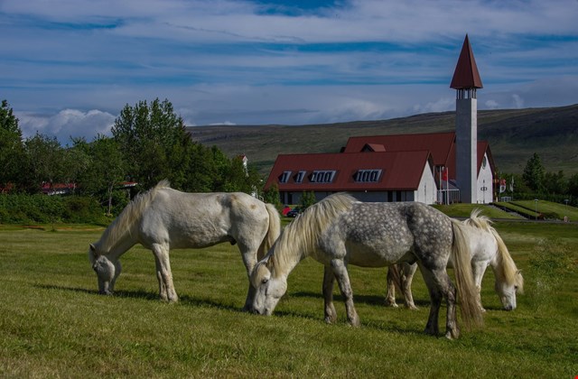 Þjóðhátíð í Reykholtsdal 2017