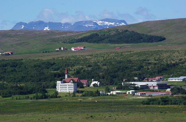 Líf í lundi - fjölskyldudagur við Reykholtsskóga