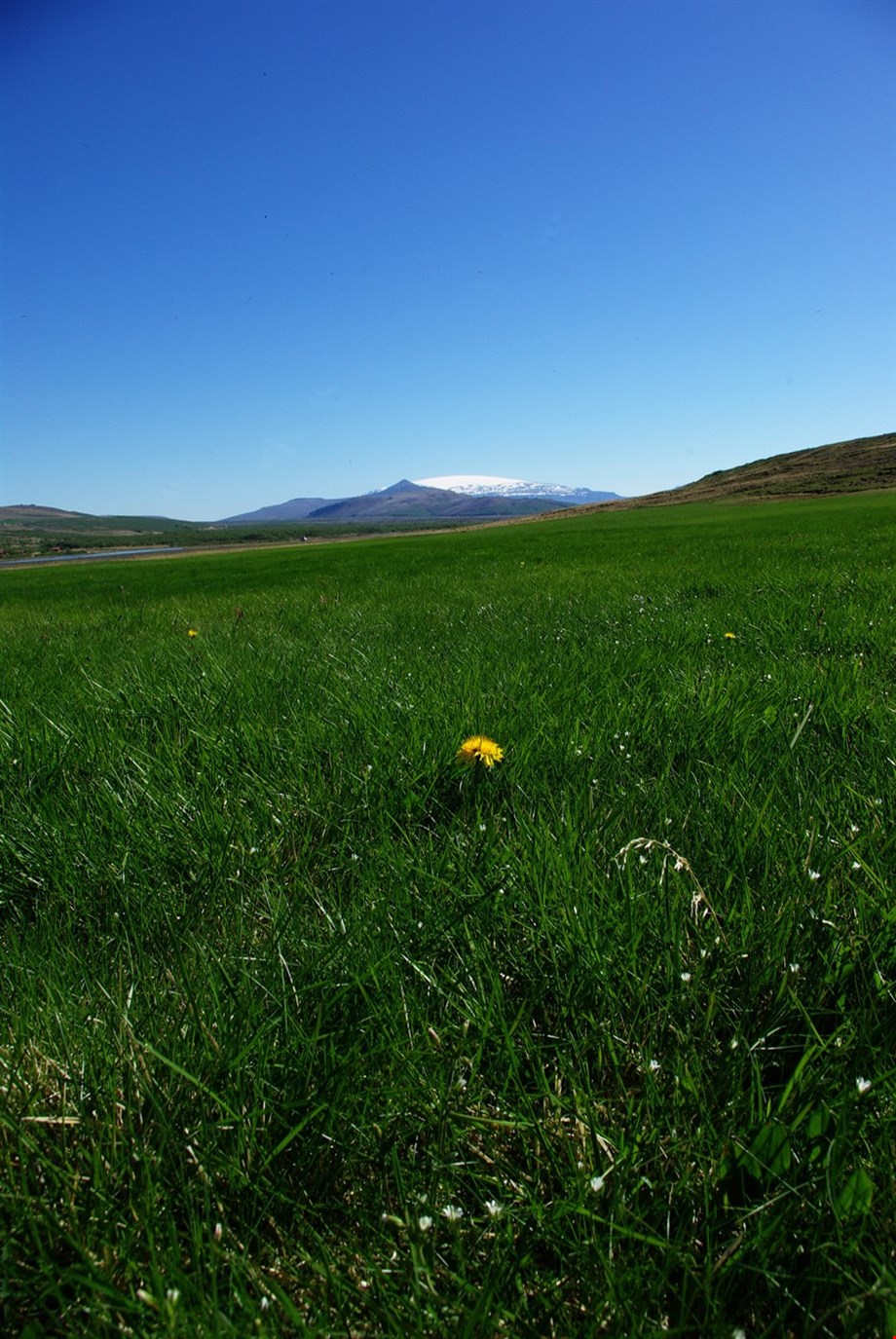 Helgihald í Stóra-Ási