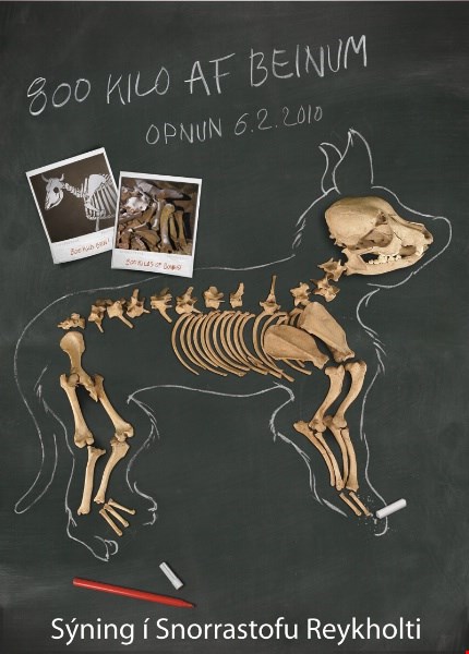 Sýning á dýrabeinum úr uppgreftri í Finnlandi
