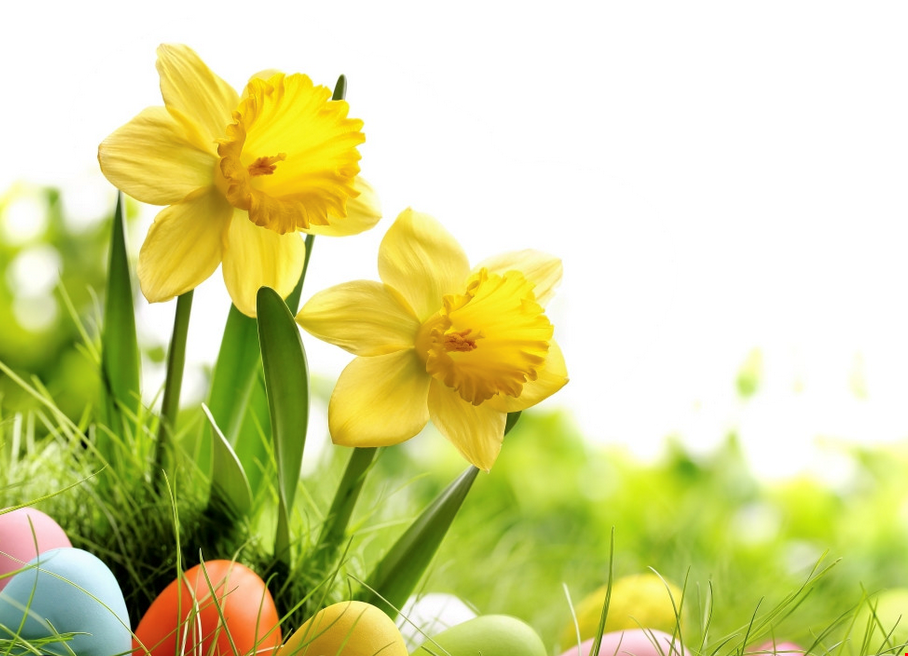 Easter opening
