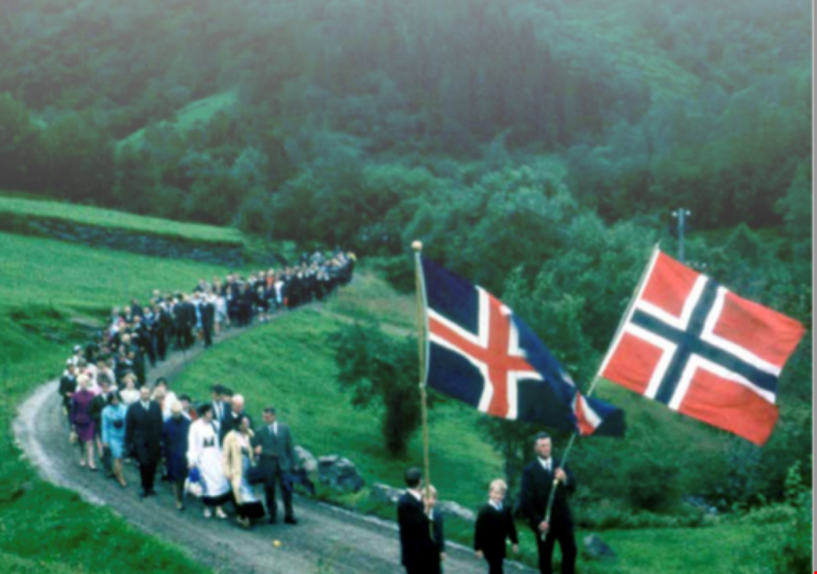 Frændur fagna skógi