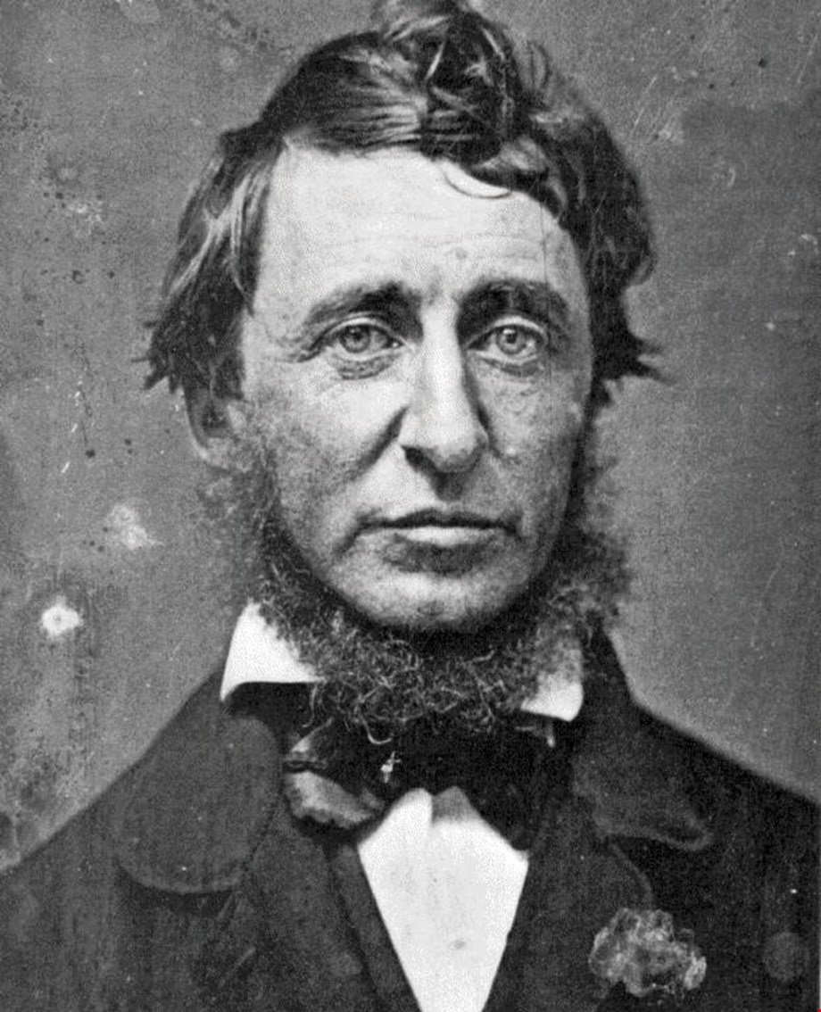 Thoreau & the Nick of Time